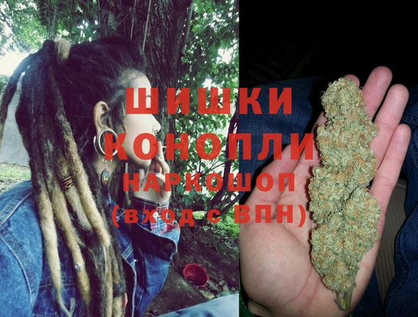 прущие грибы Семёнов