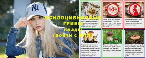 a pvp Баксан