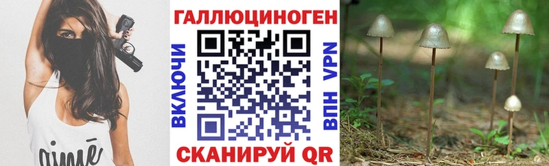 Псилоцибиновые грибы GOLDEN TEACHER  купить   ОМГ ОМГ ссылка  Себеж 