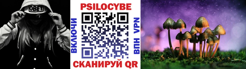 Псилоцибиновые грибы Psilocybe Себеж